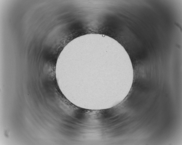 X0000103900186200810171623