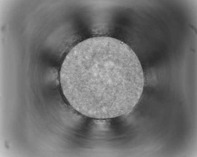 X0000103900187200810171623