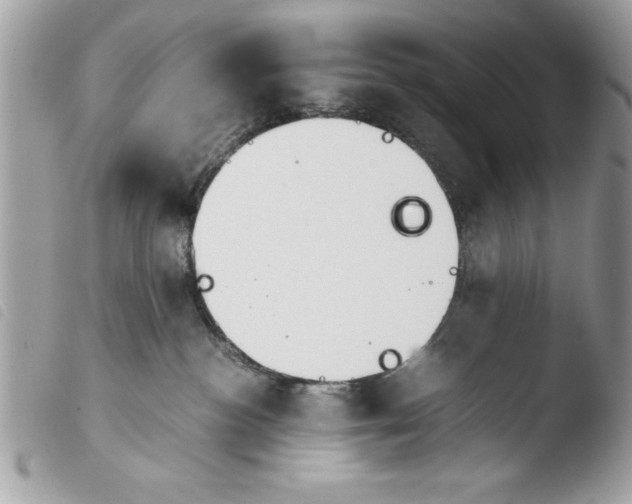 X0000103900188200810171623