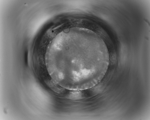 X0000103900189200810171623