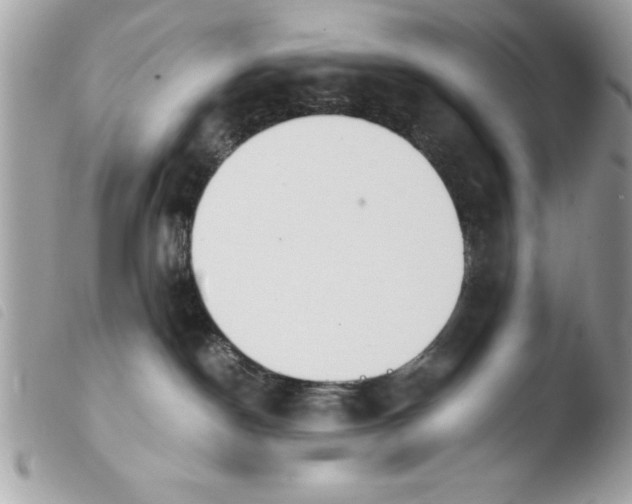 X0000103900190200810171623