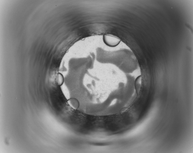 X0000103900191200810171623