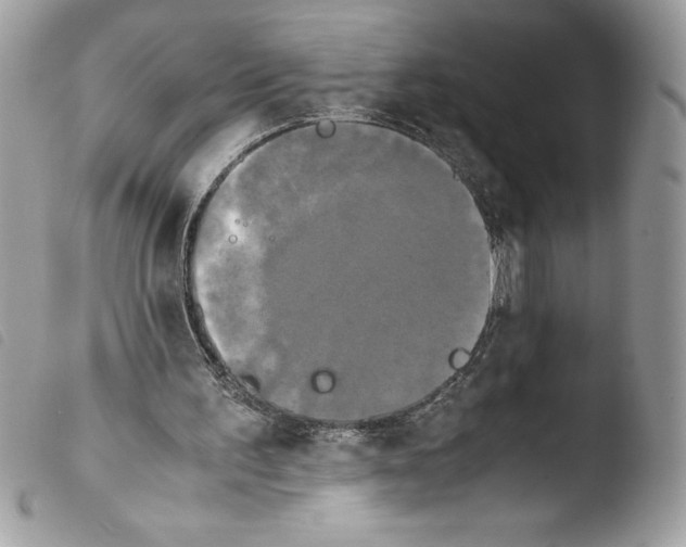 X0000103900195200810171622