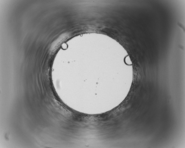 X0000103900197200810171622