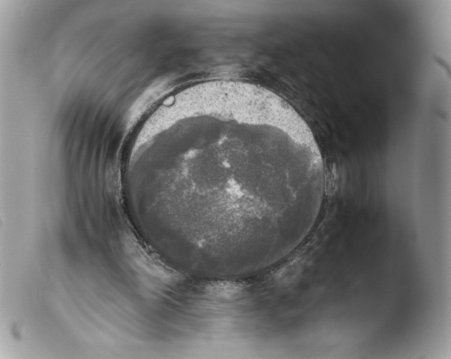 X0000103900198200810171622