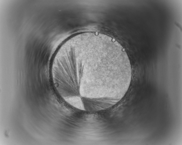 X0000103900200200810171622