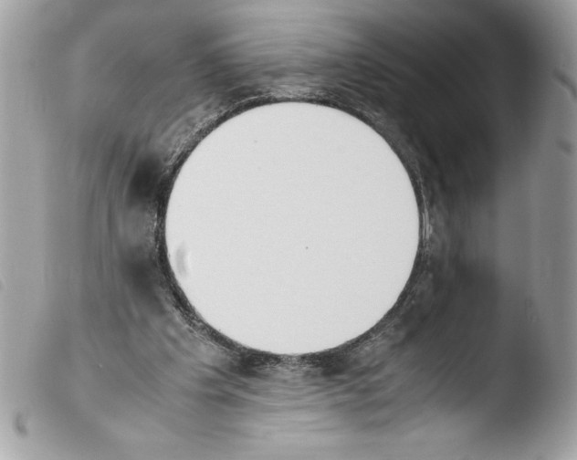 X0000103900201200810171622