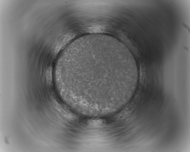 X0000103900202200810171622