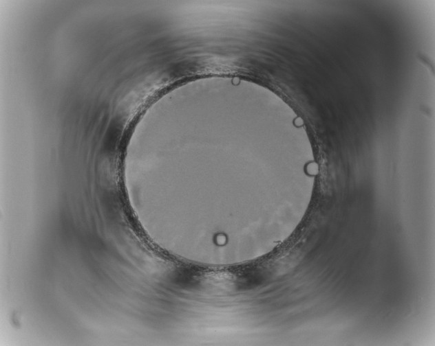 X0000103900203200810171622