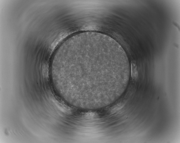 X0000103900204200810171622