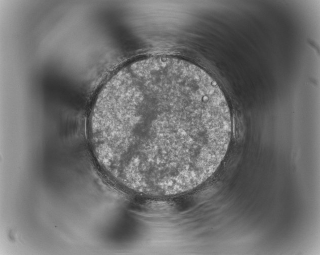 X0000103900205200810171622