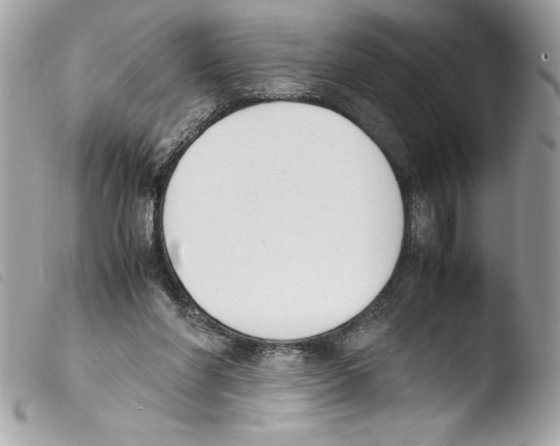 X0000103900206200810171622