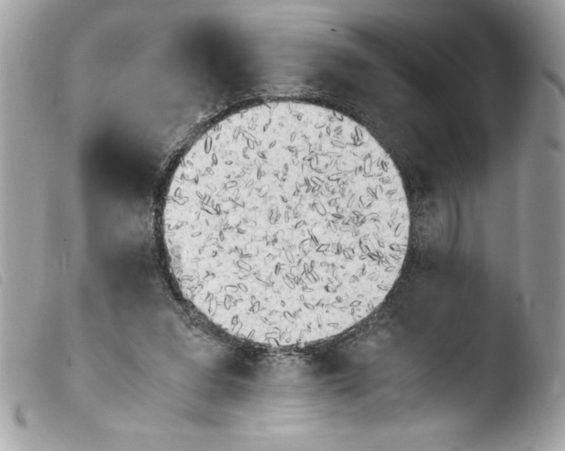 X0000103900207200810171622