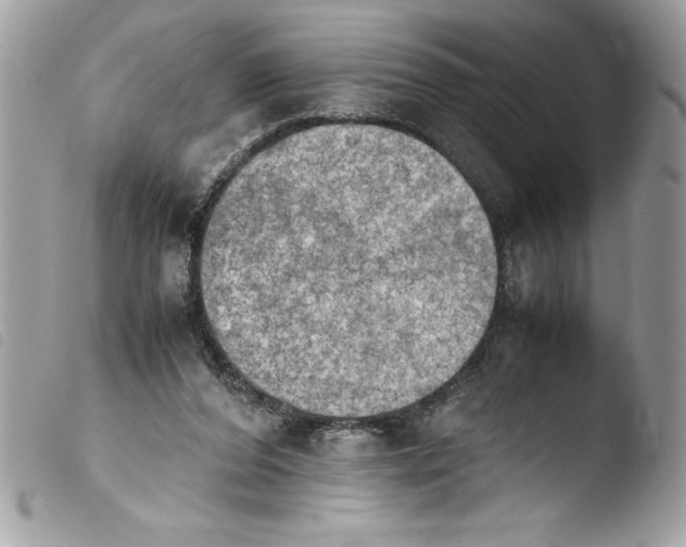 X0000103900208200810171622