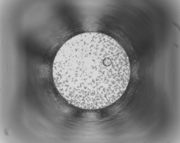 X0000103900209200810171622