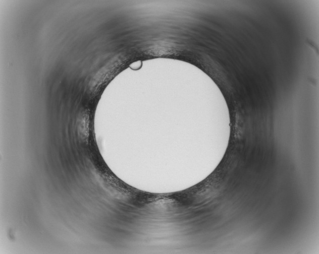 X0000103900210200810171622