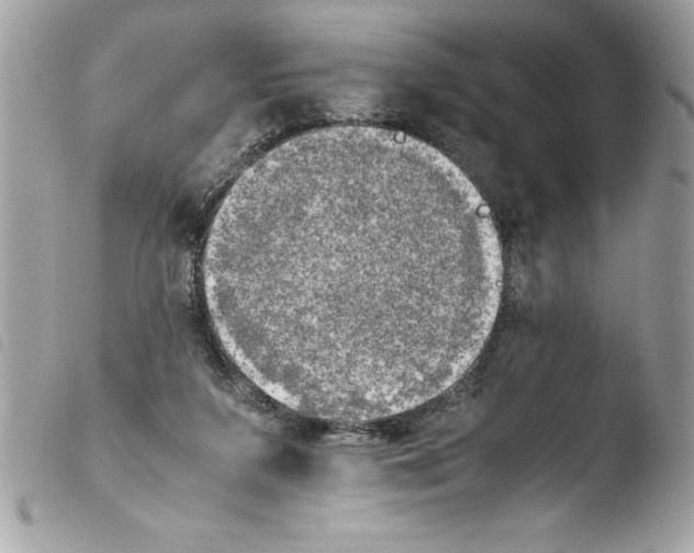 X0000103900211200810171622