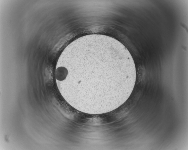 X0000103900212200810171622