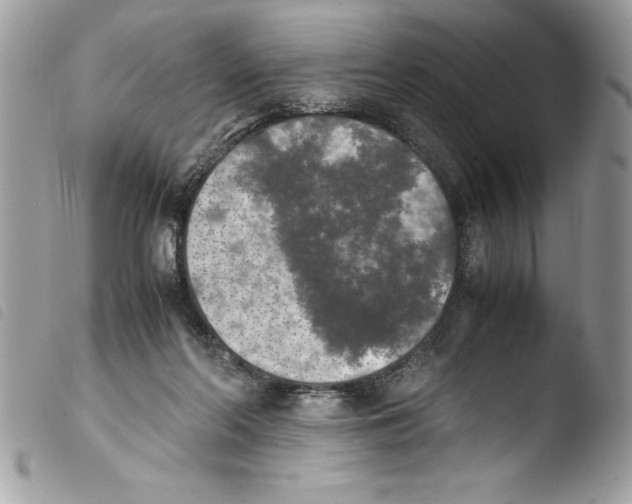 X0000103900214200810171622