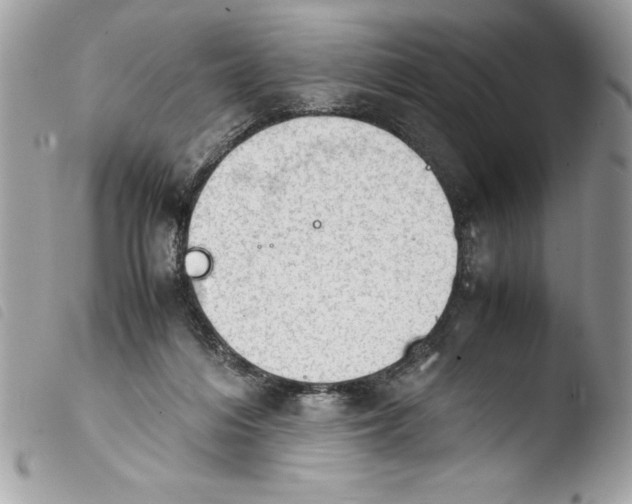 X0000103900216200810171622