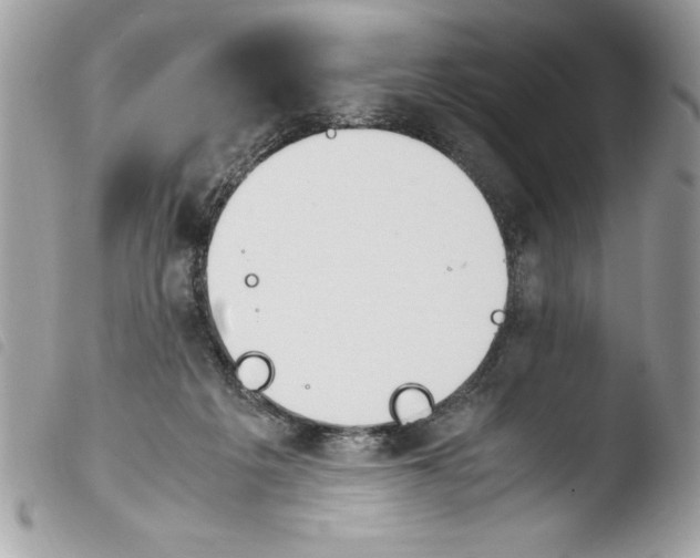 X0000103900217200810171622