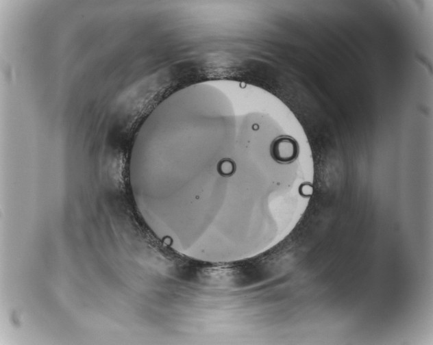 X0000103900219200810171622