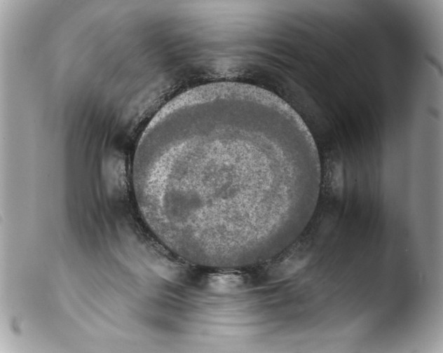 X0000103900220200810171622