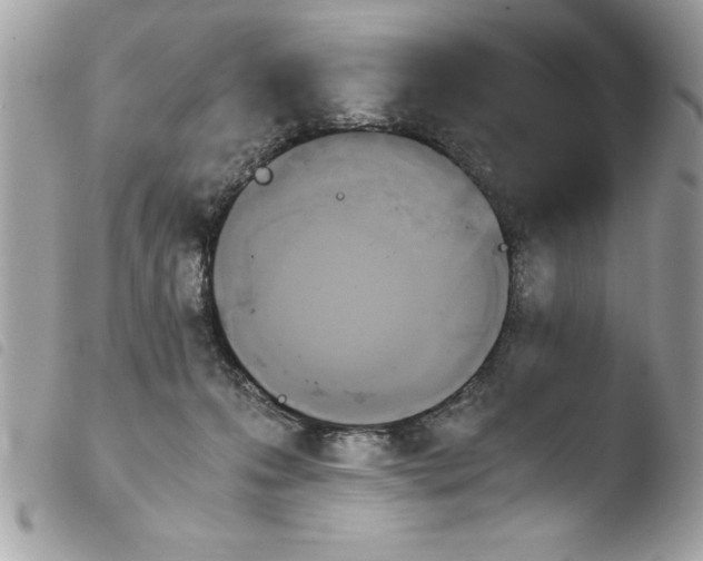 X0000103900223200810171621