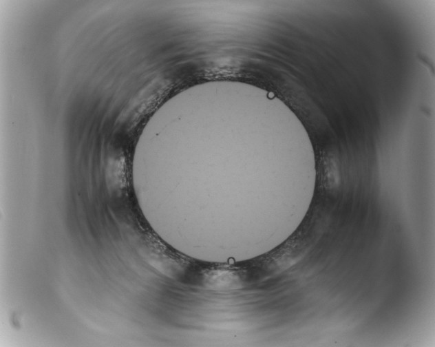 X0000103900224200810171621