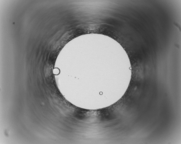 X0000103900225200810171621