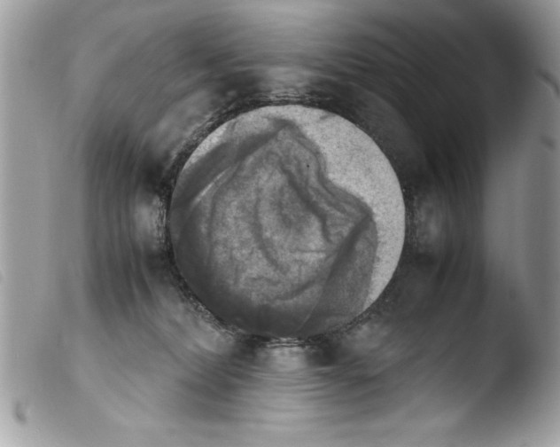 X0000103900228200810171621