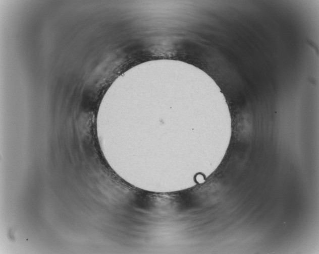 X0000103900229200810171621