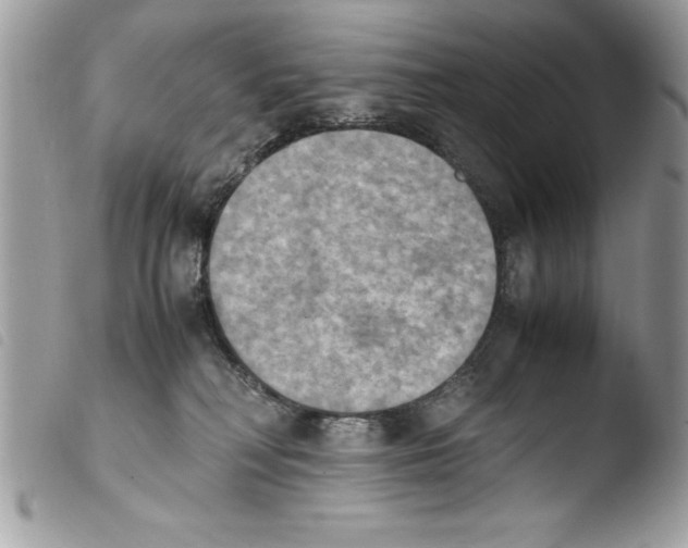 X0000103900230200810171621