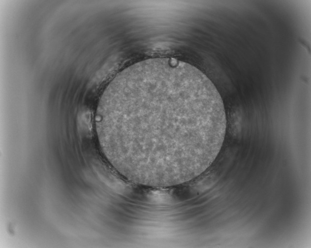 X0000103900232200810171621