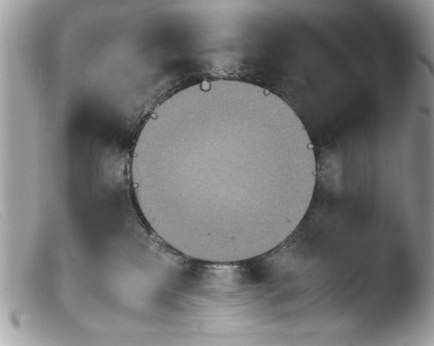 X0000103900233200810171621