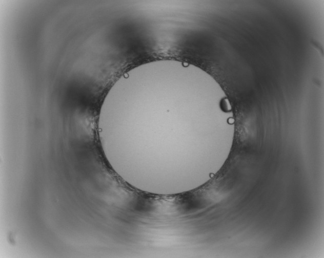 X0000103900235200810171621