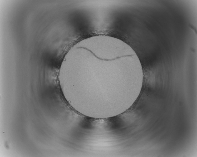 X0000103900237200810171621