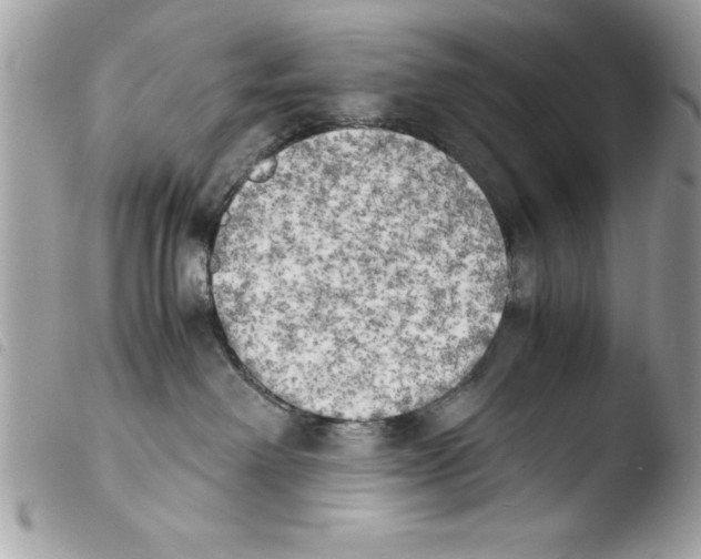 X0000103900238200810171621