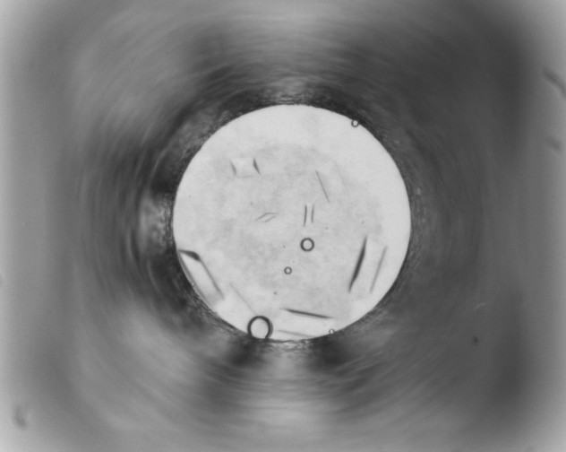 X0000103900240200810171621