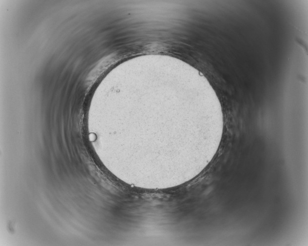 X0000103900242200810171621