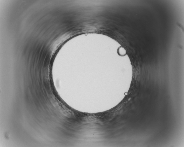 X0000103900244200810171621