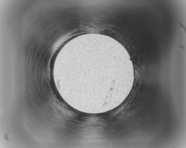 X0000103900246200810171621