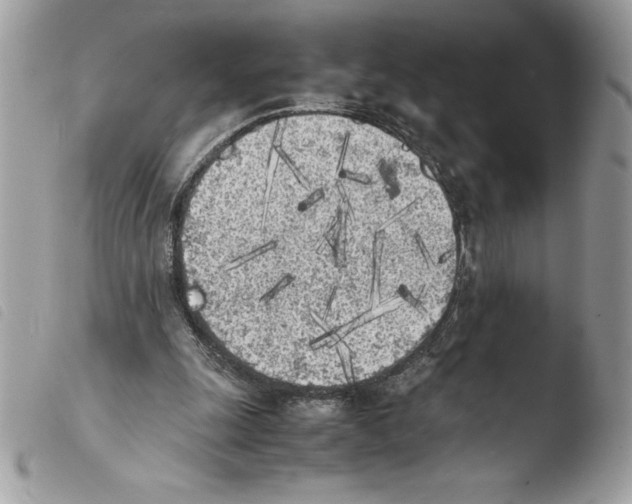 X0000103900247200810171621