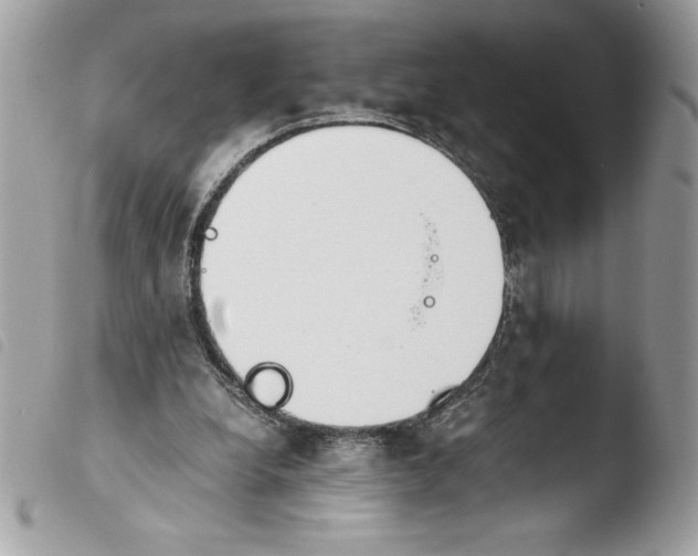 X0000103900248200810171621