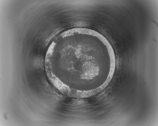 X0000103900249200810171621