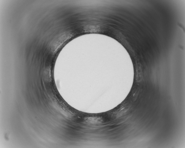 X0000103900251200810171621