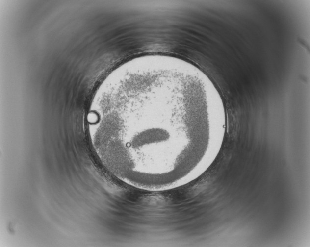 X0000103900253200810171621