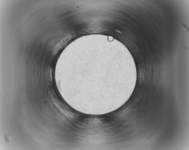 X0000103900254200810171621