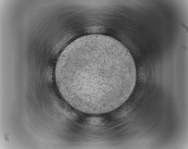 X0000103900255200810171621