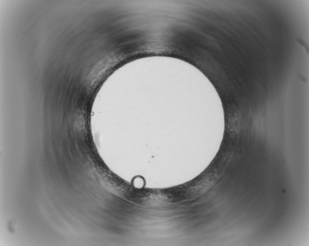 X0000103900256200810171621